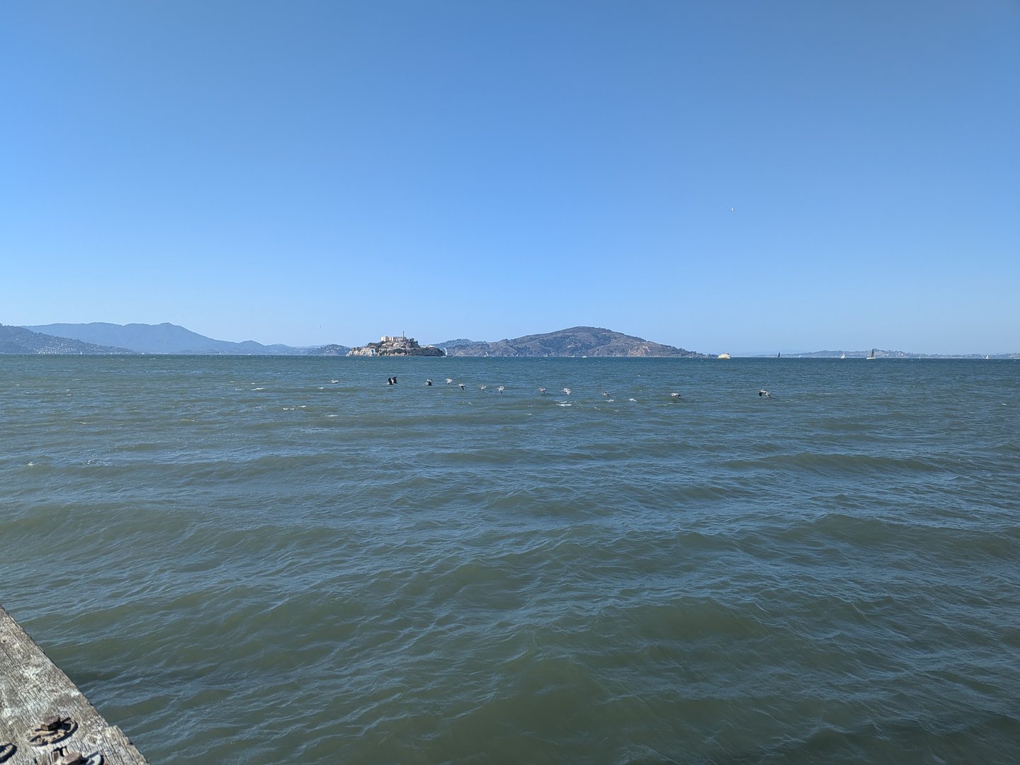 San Francisco Bay with Alcatraz Island in the distance